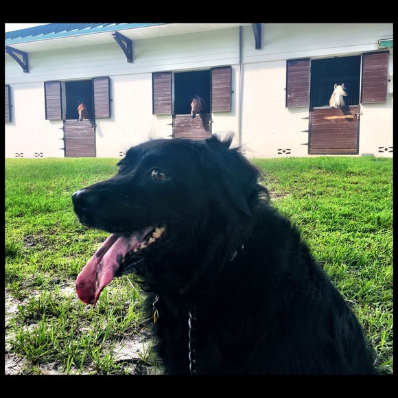 Meet your Posher, Dina - Picture 2 of 11